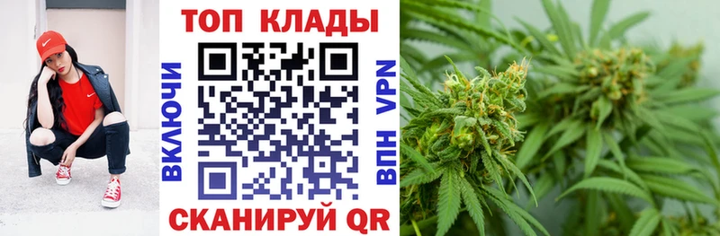 Как найти закладки Бологое Псилоцибиновые грибы  ГАШИШ  Марихуана  COCAIN  Альфа ПВП 