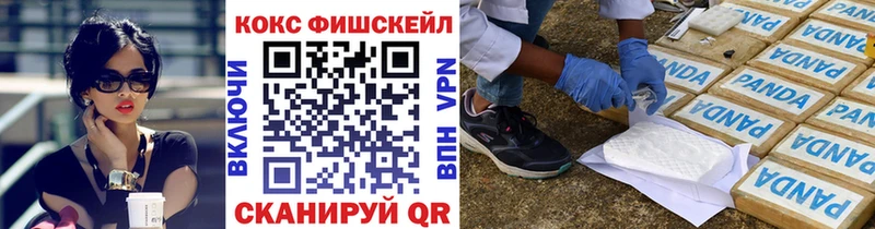 COCAIN Fish Scale  Бологое 