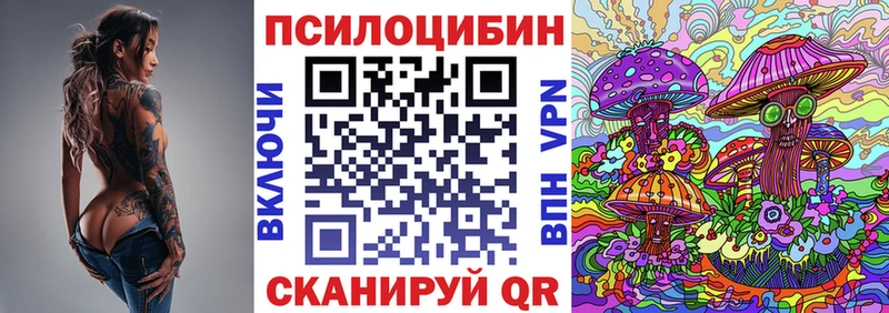 Псилоцибиновые грибы Psilocybe  Бологое 